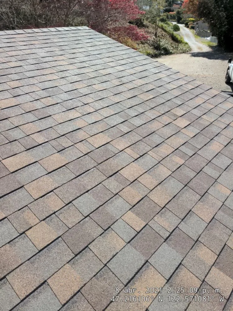 Asphalt Roofing for University Place by RoofSmart - Photo 9