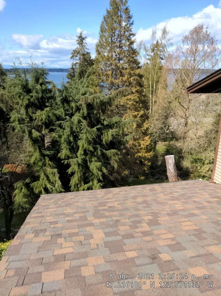 Asphalt Roofing for University Place by RoofSmart - Photo 12
