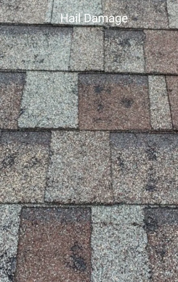 Southern Roofing & Repair LLC - Photo 2
