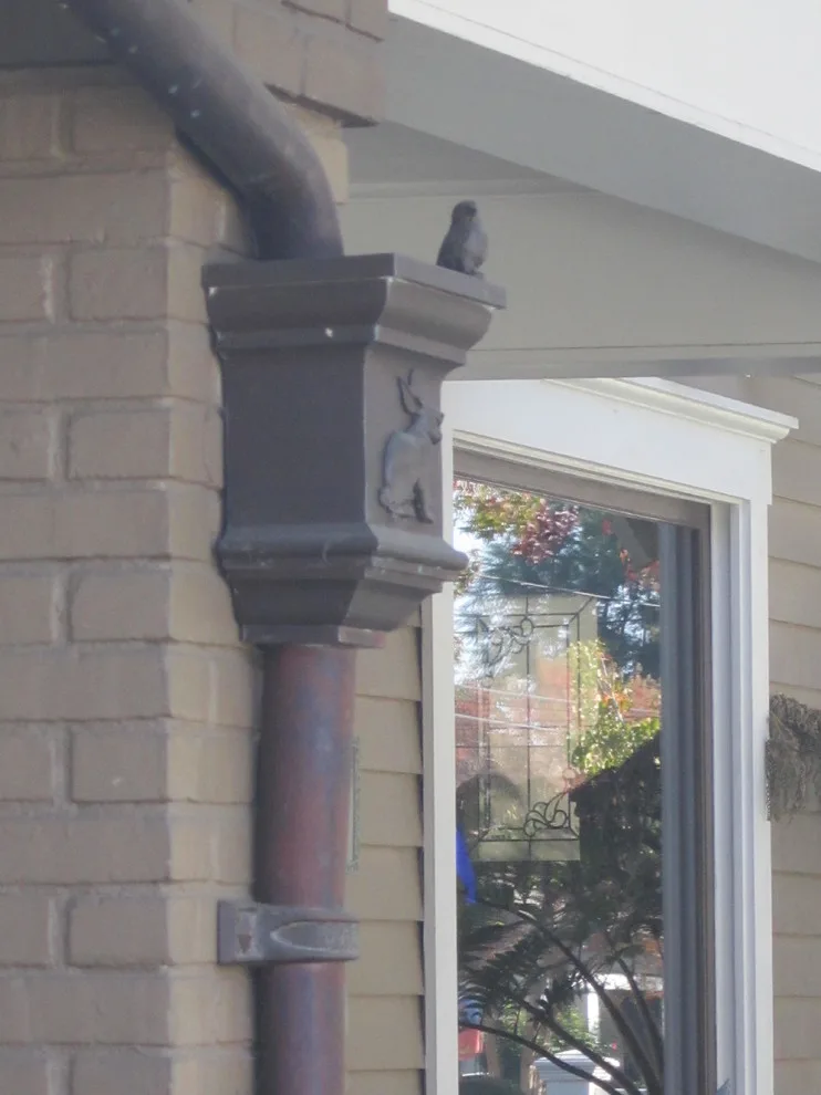 Rain Water Systems - Photo 6