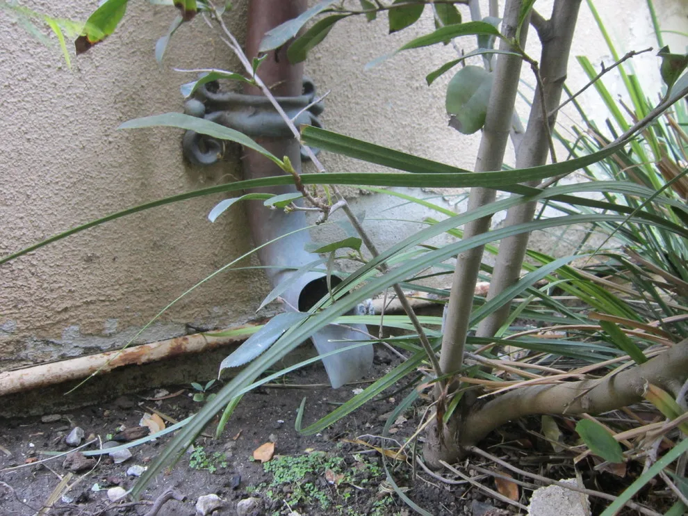 Aged Copper Rain Gutters by Rain Water Systems - Photo 19