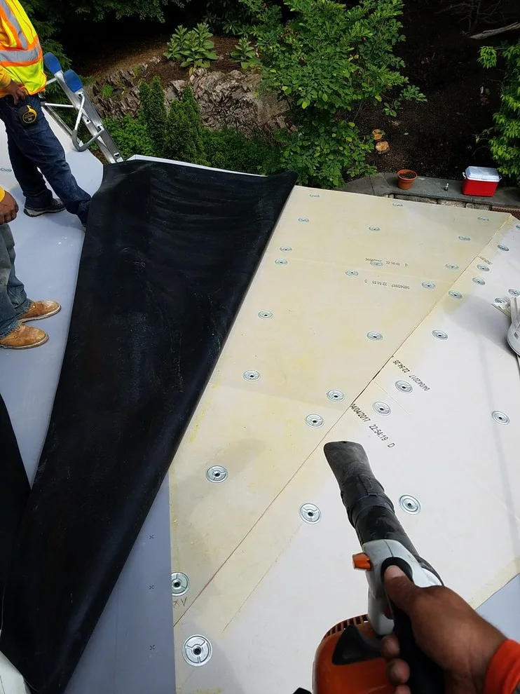 Wellesley Carlisle TPO Roofing Solution by Loyalty Exterior Solutions - Photo 10