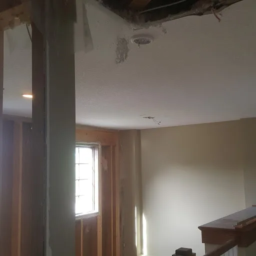Ceiling removal for wet installations by Restoreline INC - Photo 3