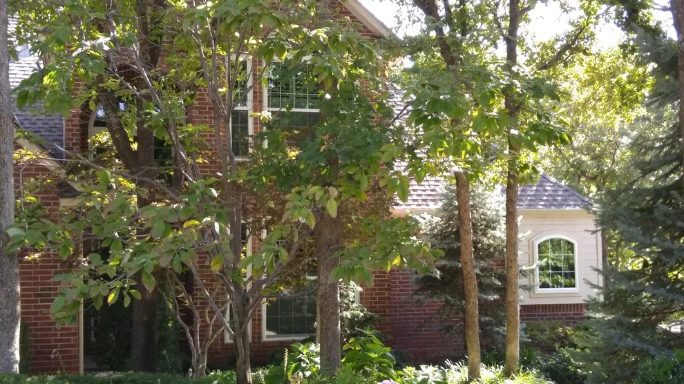 Window Setup by Red River Roofing Companies, Inc. - Photo 4