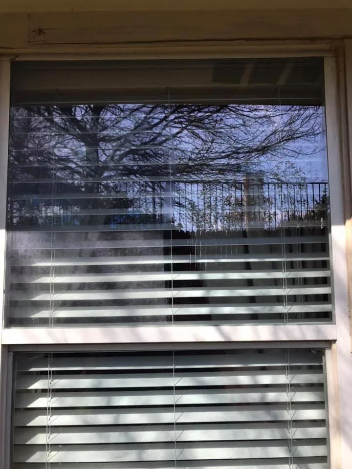 Window Endeavors by My Beautiful Windows And Roofing - Photo 15