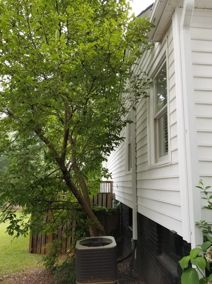 Highland Drive renovation by Majestic Builders, Inc. - Photo 4