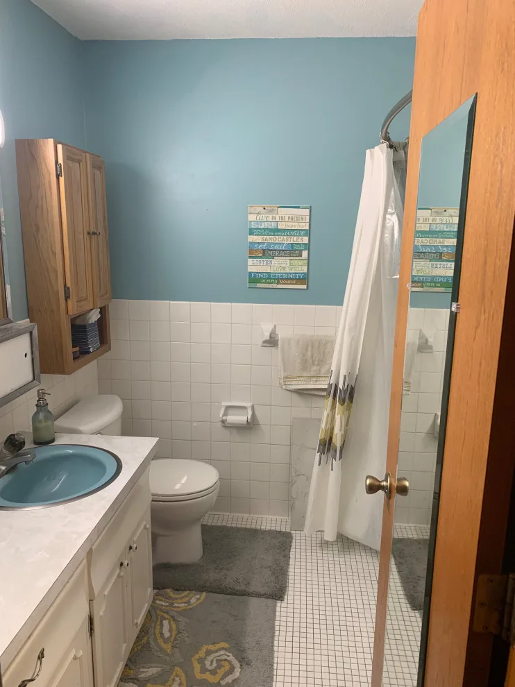 Brighton Transitional Guest Bathroom Design Contract by Pinnacle Design & Remodeling - Photo 2