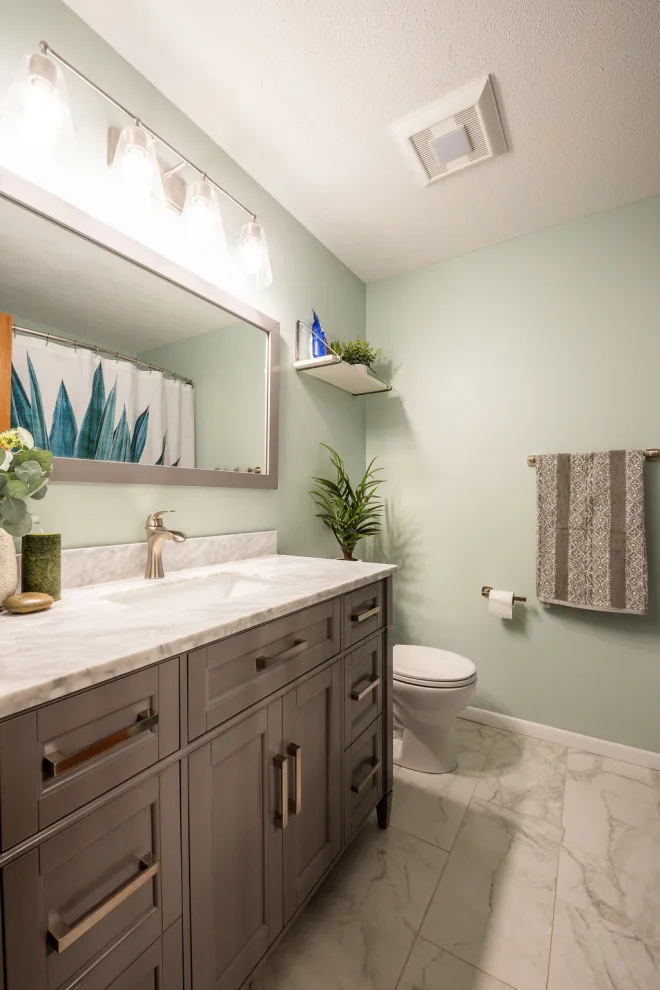 Brighton Transitional Guest Bathroom Design Contract by Pinnacle Design & Remodeling - Photo 5