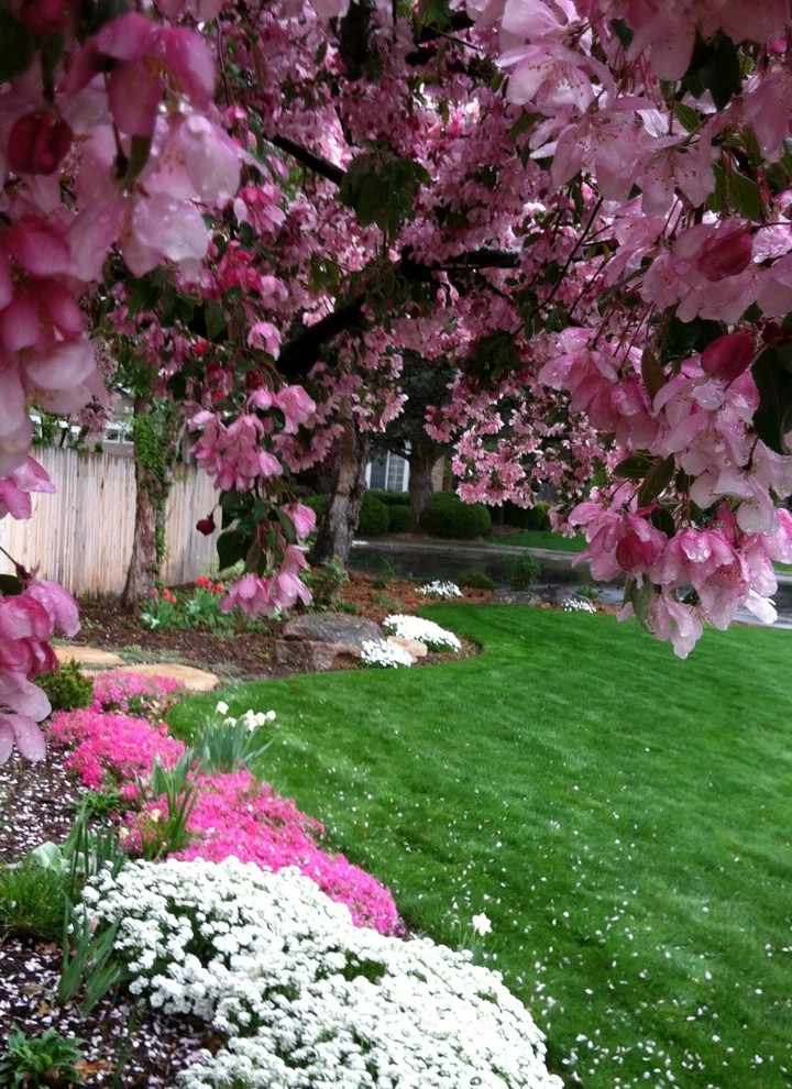 Lakewood II by Chuck B Edwards Landscape Architecture & 3D - Photo 2