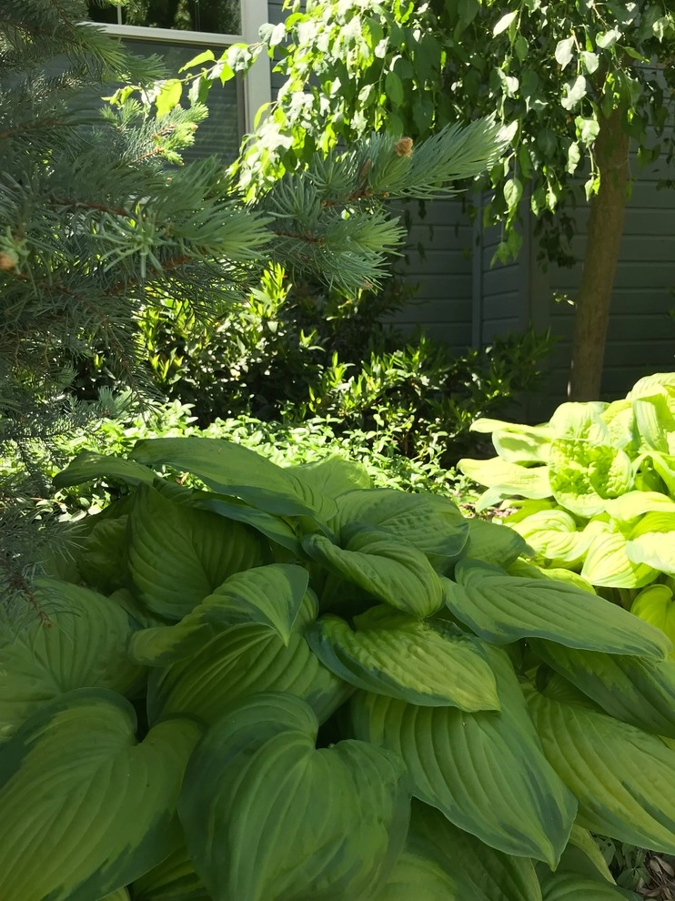 Hidden Springs II by Chuck B Edwards Landscape Architecture & 3D - Photo 87