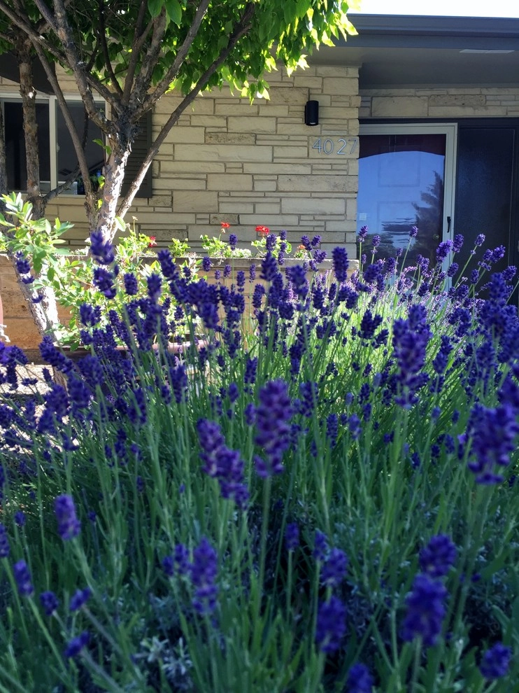 Delmonte by Chuck B Edwards Landscape Architecture & 3D - Photo 20
