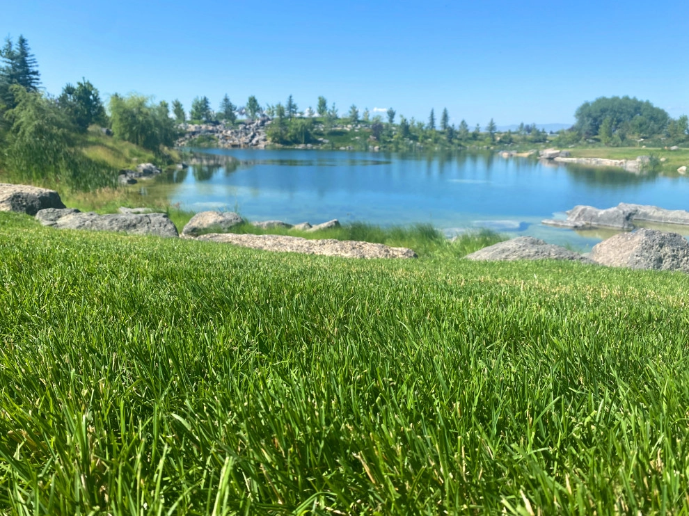 Lakeside by Chuck B Edwards Landscape Architecture & 3D - Photo 7