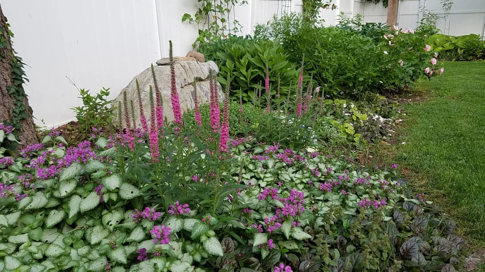Garden and Outdoor Recreation Space by Cliffeton Green Design Concepts - Photo 2