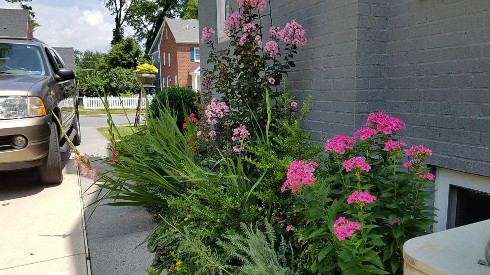 Garden and Outdoor Recreation Space by Cliffeton Green Design Concepts - Photo 13