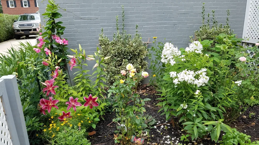 Garden and Outdoor Recreation Space by Cliffeton Green Design Concepts - Photo 11
