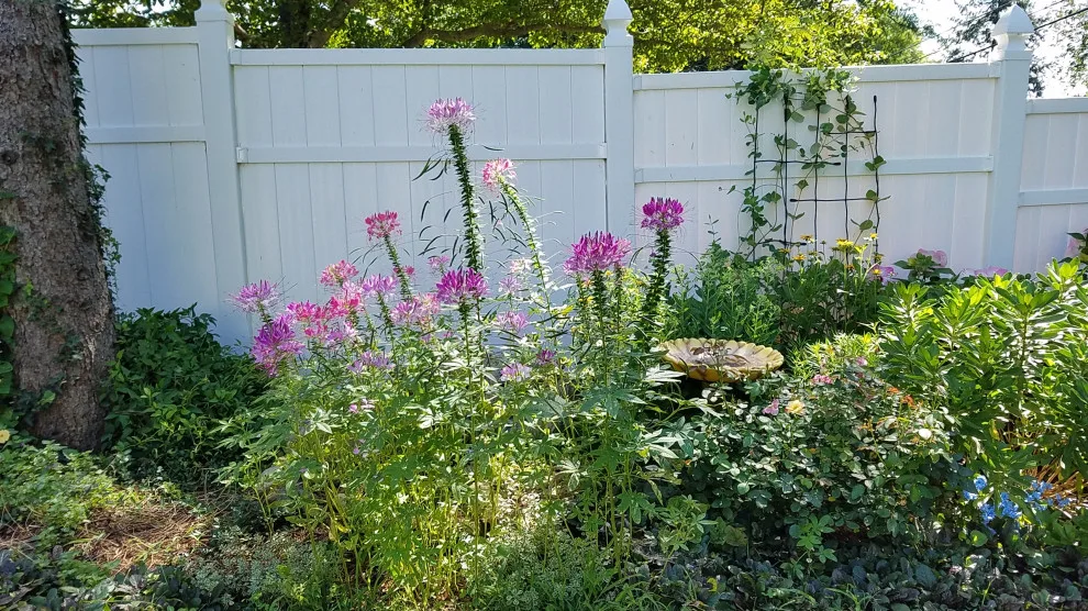 Garden and Outdoor Recreation Space by Cliffeton Green Design Concepts - Photo 22