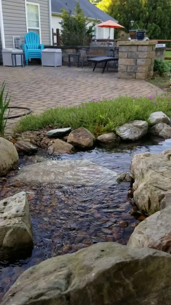 Video Project by Let It Fly Backyard Living - Photo 4