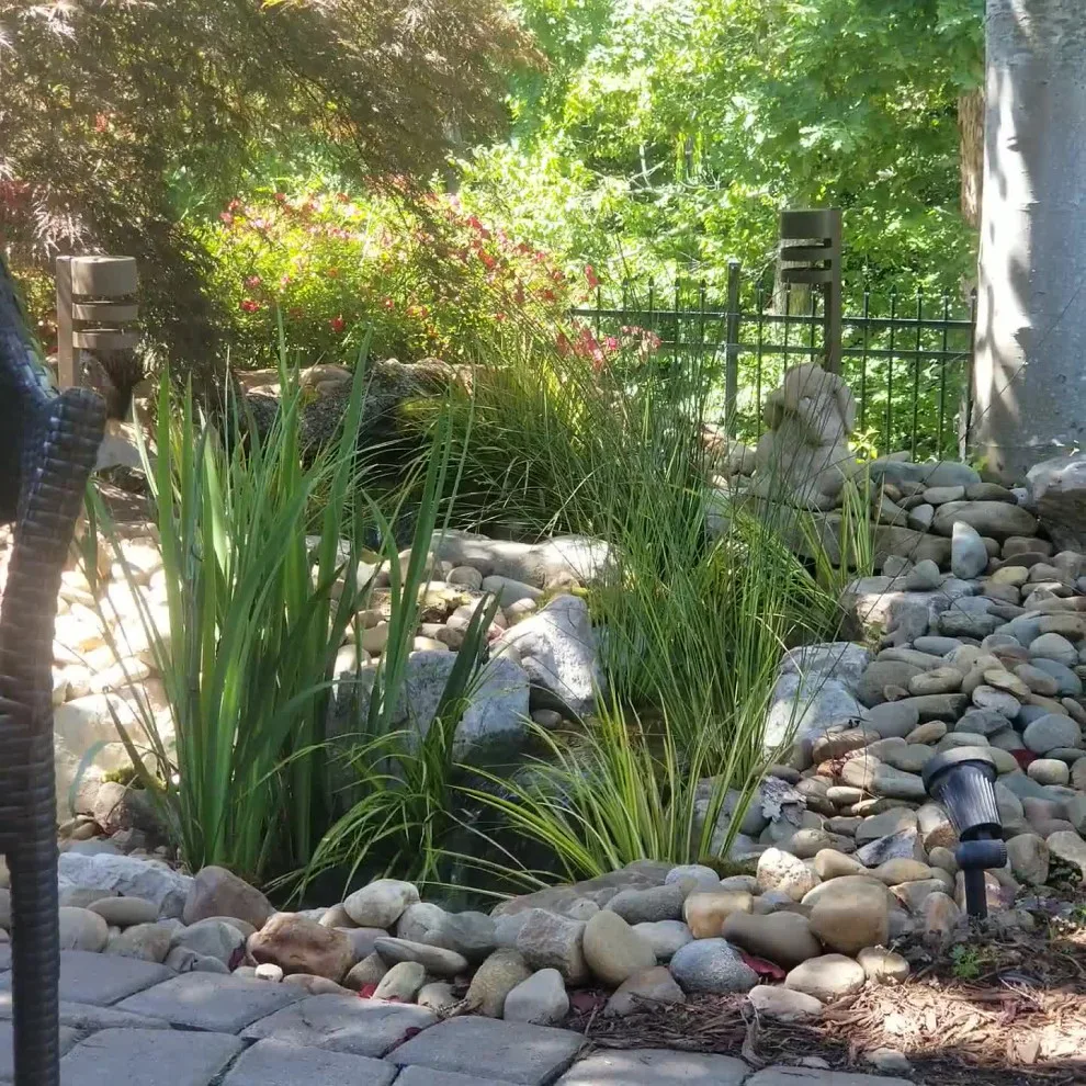 Let It Fly Backyard Living - Photo 14