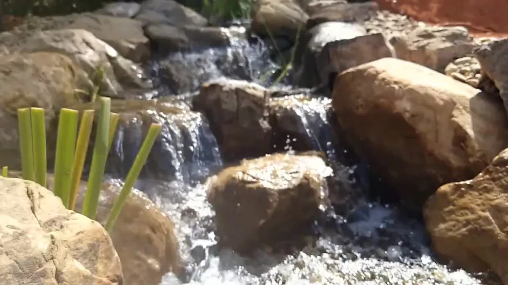 Video Project by Let It Fly Backyard Living - Photo 15