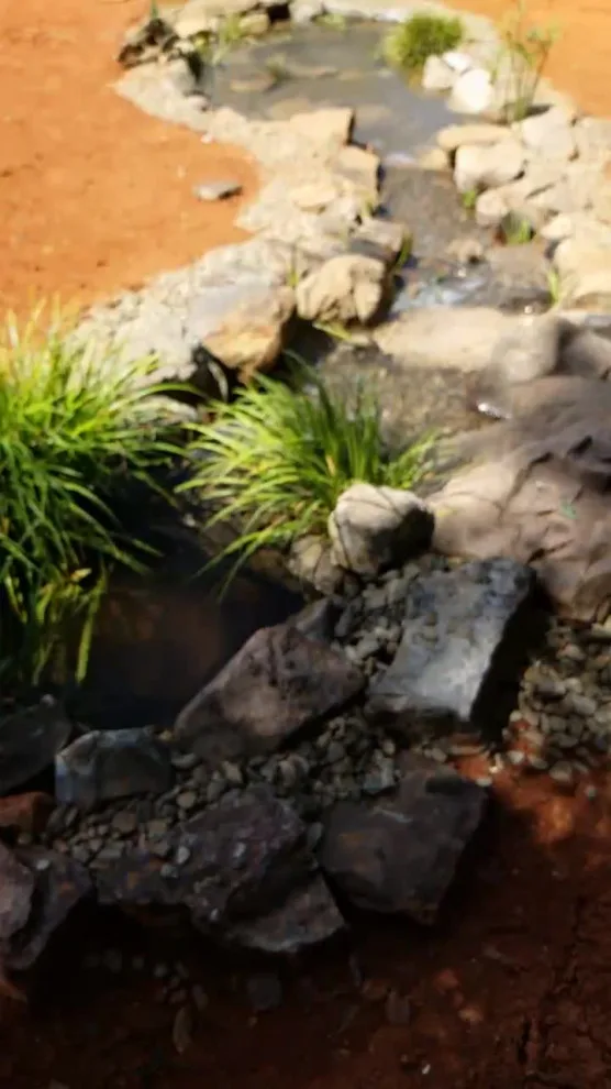 Video Project by Let It Fly Backyard Living - Photo 5