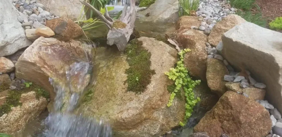 Video Project by Let It Fly Backyard Living - Photo 17