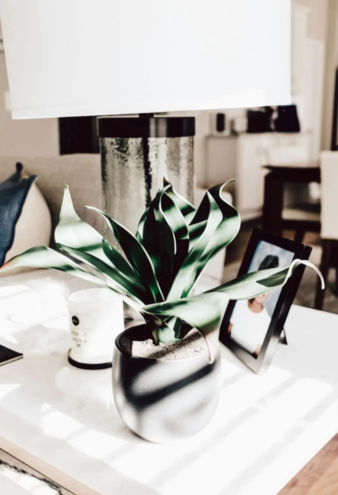 White's Lounge by Tranquil Designs LLC - Photo 8