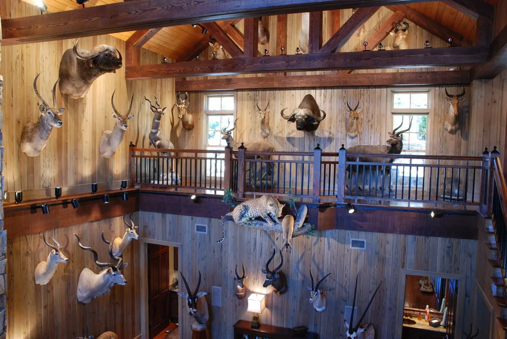 Double-Level Award Gallery by HoBart Builders, Inc. - Photo 23