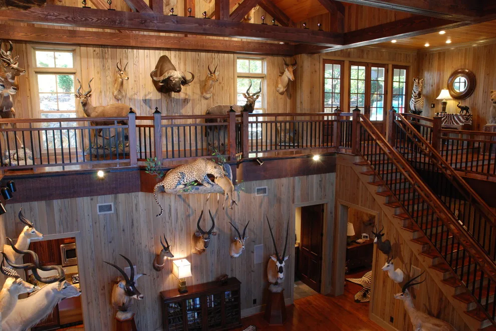 Double-Level Award Gallery by HoBart Builders, Inc. - Photo 19