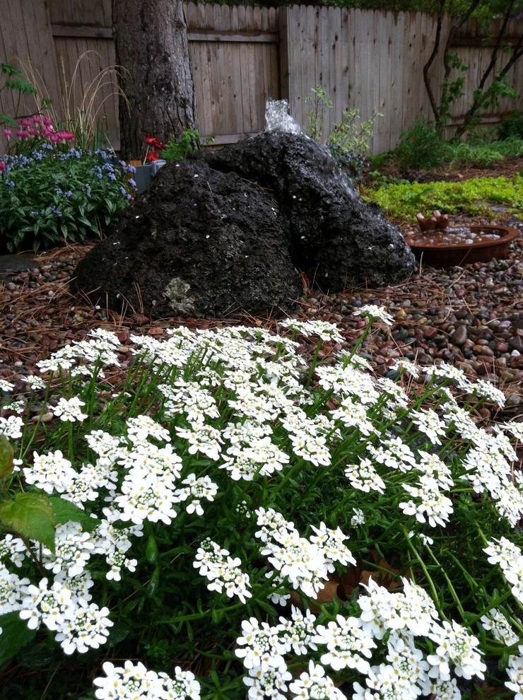 Lakewood II by Chuck B Edwards Landscape Architecture & 3D - Photo 10