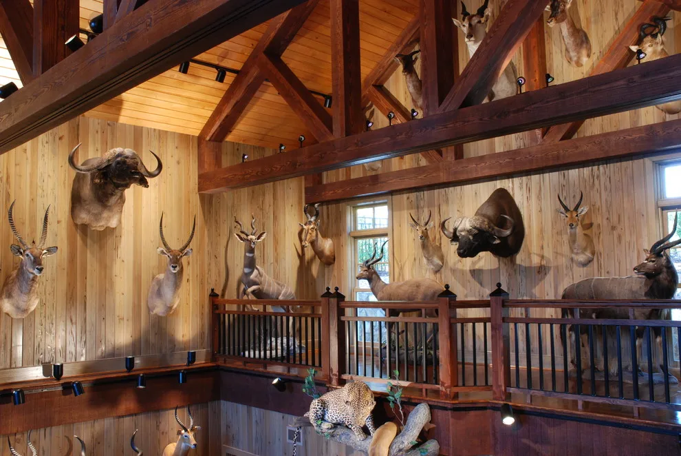 Double-Level Award Gallery by HoBart Builders, Inc. - Photo 3