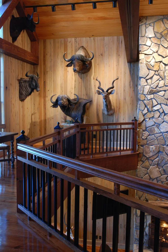 Double-Level Award Gallery by HoBart Builders, Inc. - Photo 15