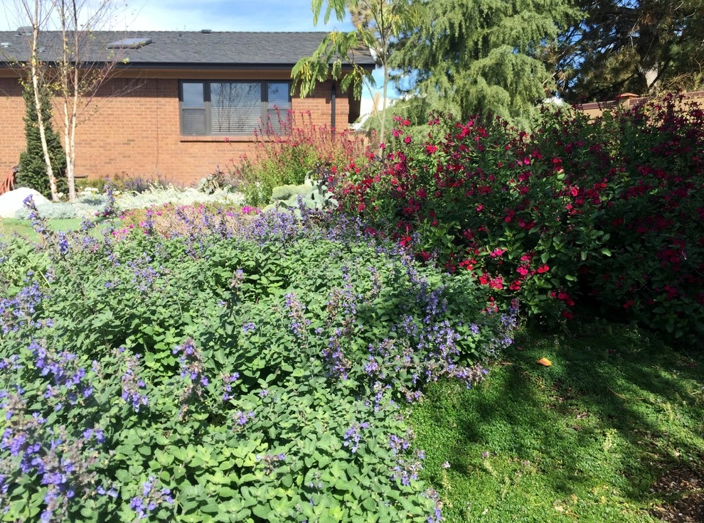 Terra by Chuck B Edwards Landscape Architecture & 3D - Photo 4