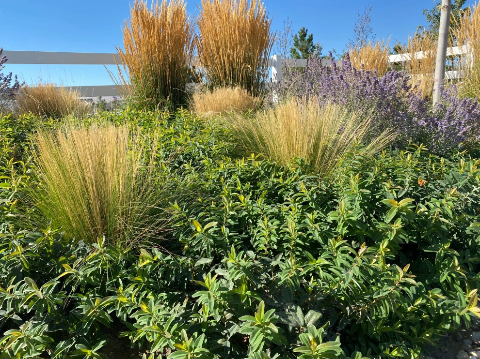 Wilder by Chuck B Edwards Landscape Architecture & 3D - Photo 16