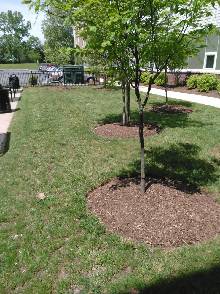 Lovely Lawns & Landscaping by LovelyLawns & Landscaping - Photo 12