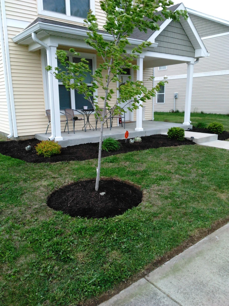 LovelyLawns & Landscaping - Photo 14