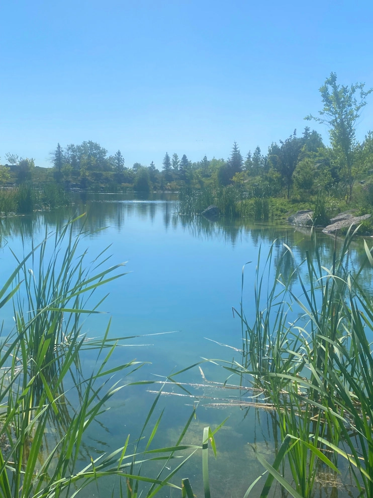 Lakeside by Chuck B Edwards Landscape Architecture & 3D - Photo 14