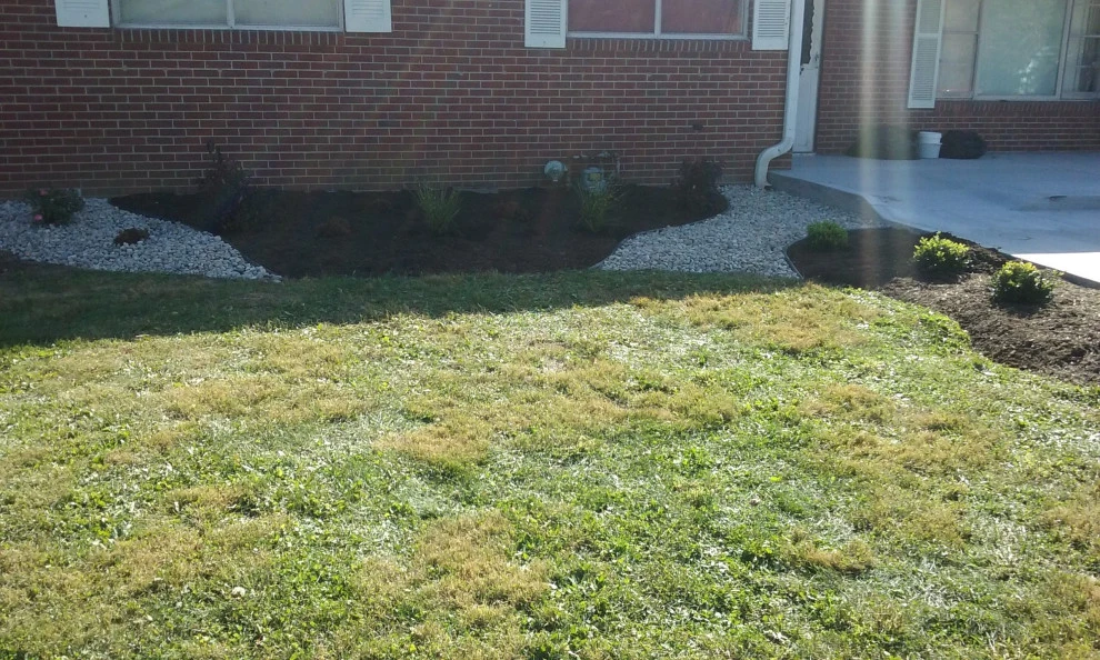 LovelyLawns & Landscaping - Photo 12