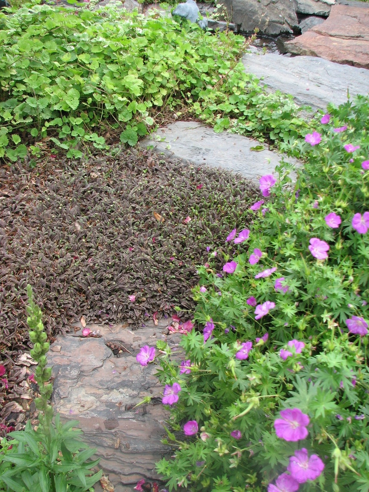 Mill Creek by Chuck B Edwards Landscape Architecture & 3D - Photo 7