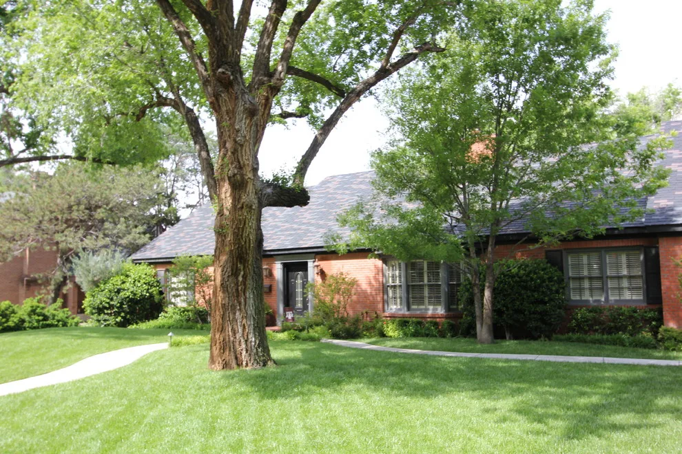 1950s Ranch Expansion by Bobby Sanders -- Sanders Design Build - Photo 6