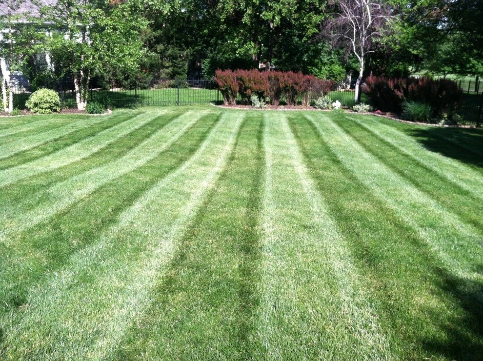 LT Lawns And Landscaping - Photo 3