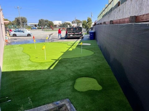 Bay Area Lawn Care Inc by Art Of Turf Inc - Photo 8