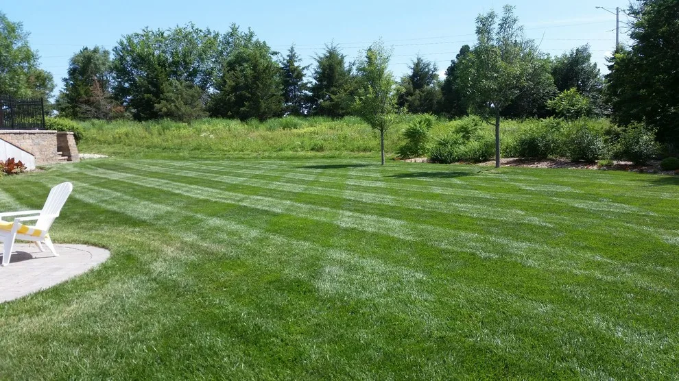 S & J Total Lawn & Tree Care - Photo 6