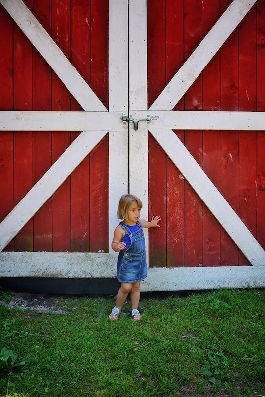 Barn Doors Hawaii - Photo 2