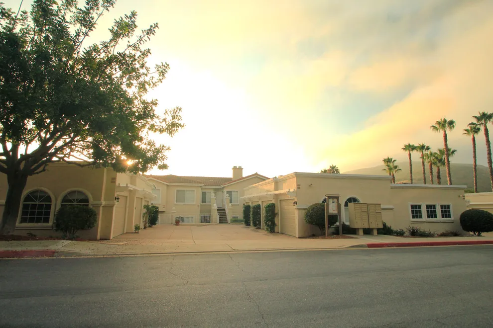 Panorama HOA Initiatives by Garage Doors Unlimited - Photo 3