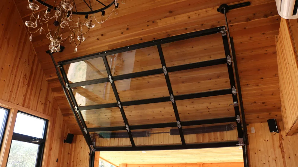 Leisure Space with Panoramic Overhead Garage Door by Cedar Park Overhead Doors - Photo 4
