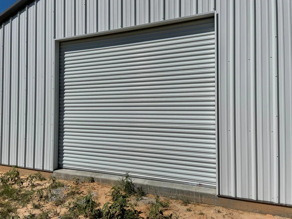 BCS Overhead Door - Photo 8