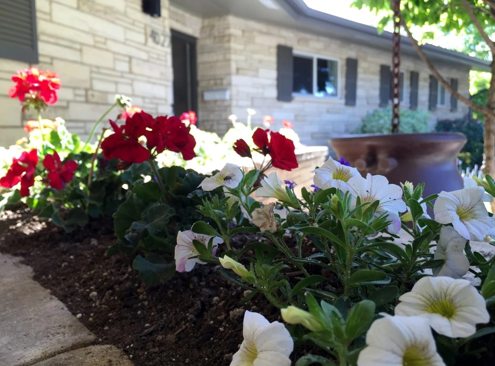 Delmonte by Chuck B Edwards Landscape Architecture & 3D - Photo 14