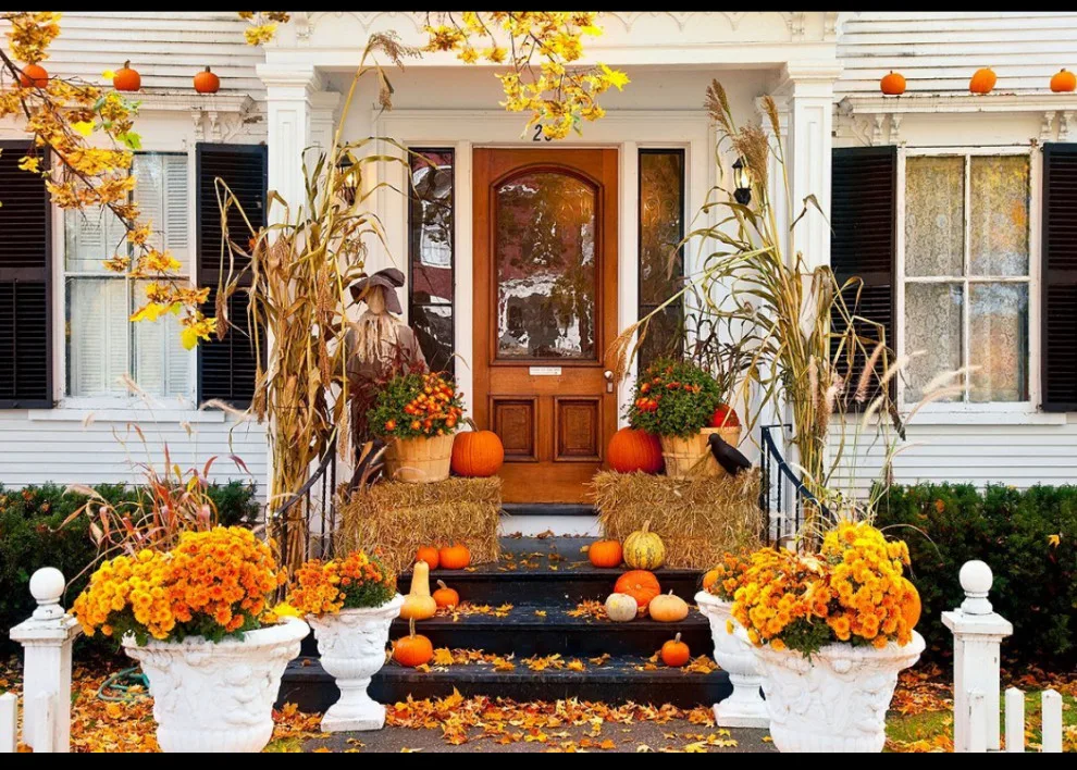 Home Entry, Storm, and Security Doors by Apple Door Systems - Photo 11