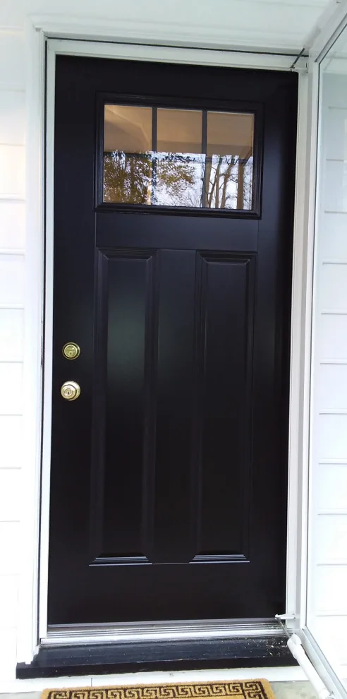 Home Entry, Storm, and Security Doors by Apple Door Systems - Photo 30