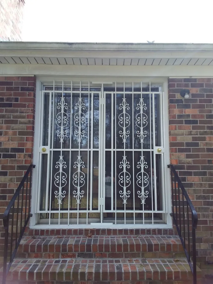 Home Entry, Storm, and Security Doors by Apple Door Systems - Photo 22